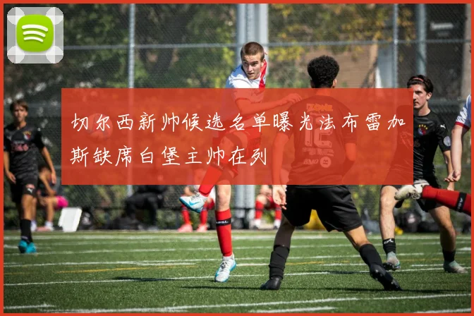 切尔西新帅候选名单曝光法布雷加斯缺席白堡主帅在列