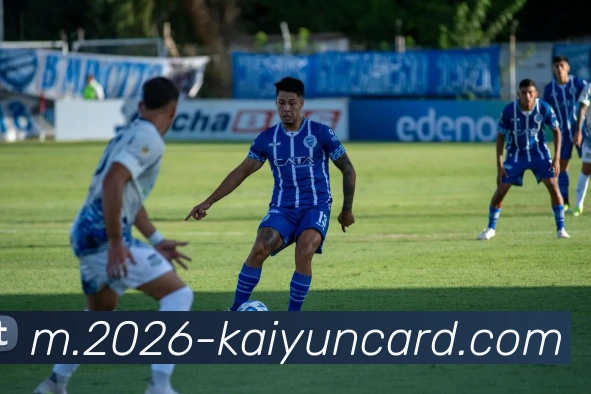 开云棋牌官网平台生态图